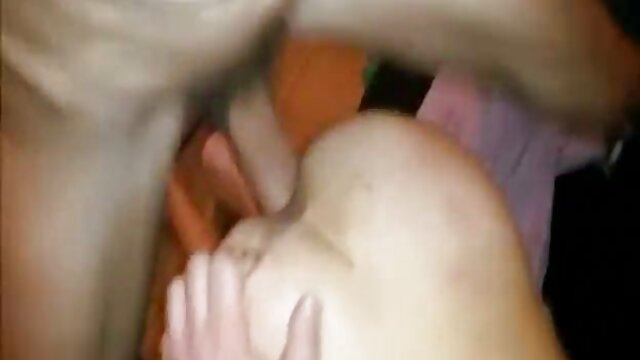 Pháp cổ sech xxxx điển